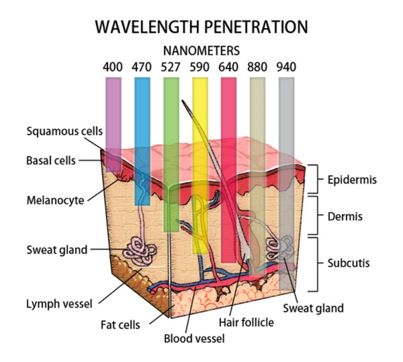 Phototherapy.jpg